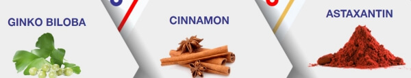 Composición y componentes del remedio para diabetes - ginko biloba cinnamon astraxantin