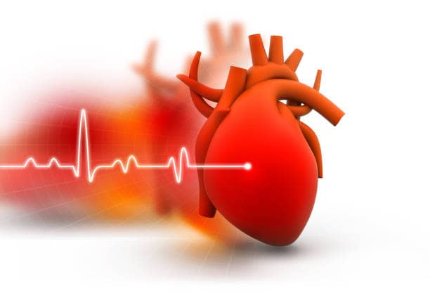 salud del corazón presión arterial baja 