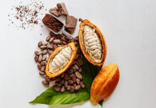 Cacao para Adelgazar
