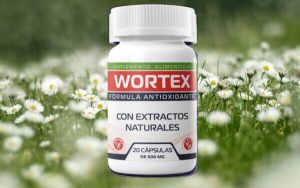 Wortex Opinones – ¿Realmente Funciona – Vale la Pena?