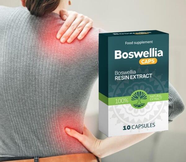 Boswellia Caps Cápsulas España - Precio cuánto cuesta Opiniones cómo se usa