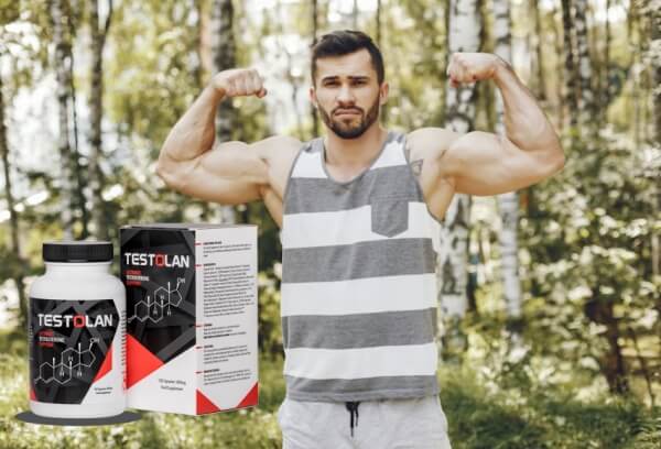 Precio de Testolan en España y dónde comprarlo Precio de Testolan en España y dónde comprarlo